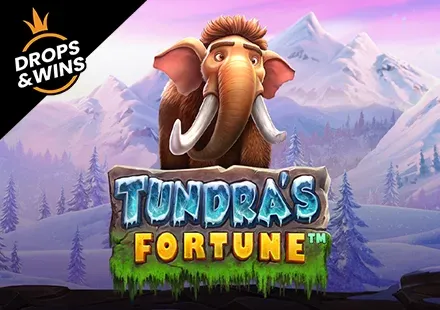Tundra's Fortune™ screenshot